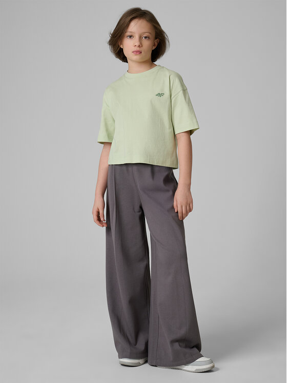 4F 4F T-Shirt JELLIFICATION Turkusowy Loose Fit