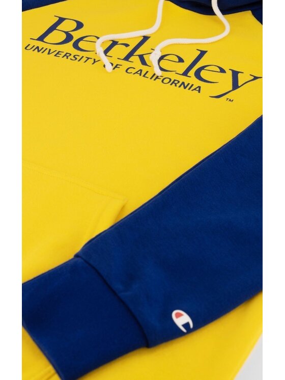 Champion Felpa HOODED SWEATSHIRT Multicolore Regular Fit Modivo