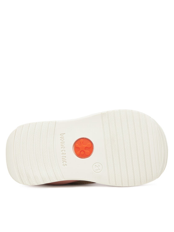 Biomecanics Biomecanics Tossud 251108 Roosa
