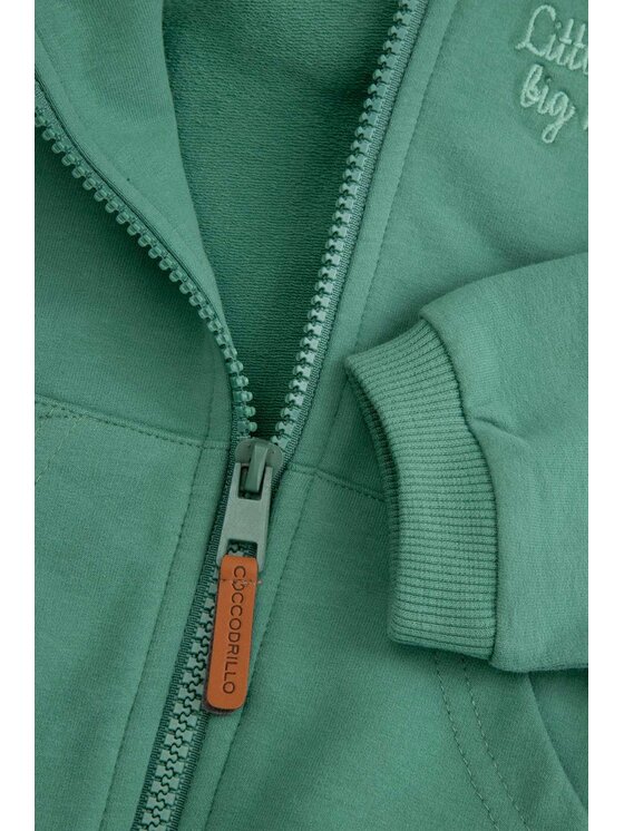 Coccodrillo Coccodrillo Mikina ZC5132401FBN-011 Zelená Regular Fit