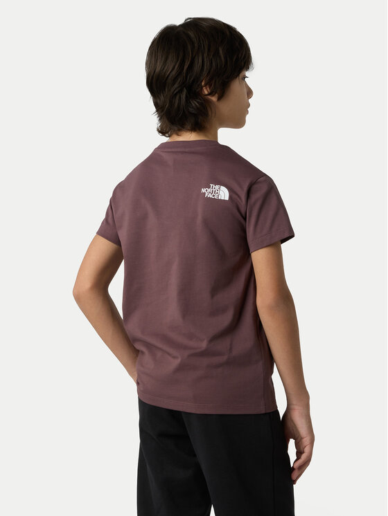 The North Face The North Face T-Shirt Simple Dome NF0A87T4 Hnědá Regular Fit
