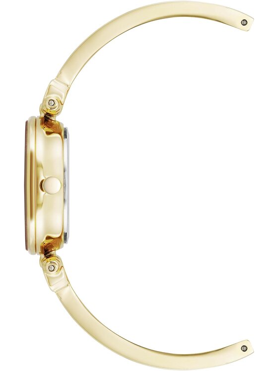 Anne Klein Anne Klein Zegarek AK-1980MIGB Zielony