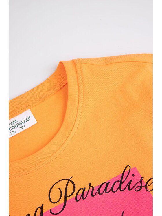 Coccodrillo Coccodrillo T-Shirt WC6143204VGB-005 Różowy Regular Fit