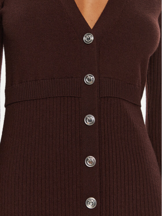 PINKO Pinko Pletena obleka Riserva 104017 A15S Rjava Regular Fit