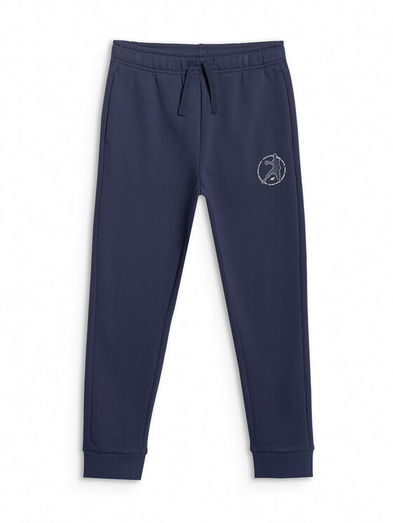 4F 4F Spodnie dresowe URBAN COMMUTER Granatowy Regular Fit