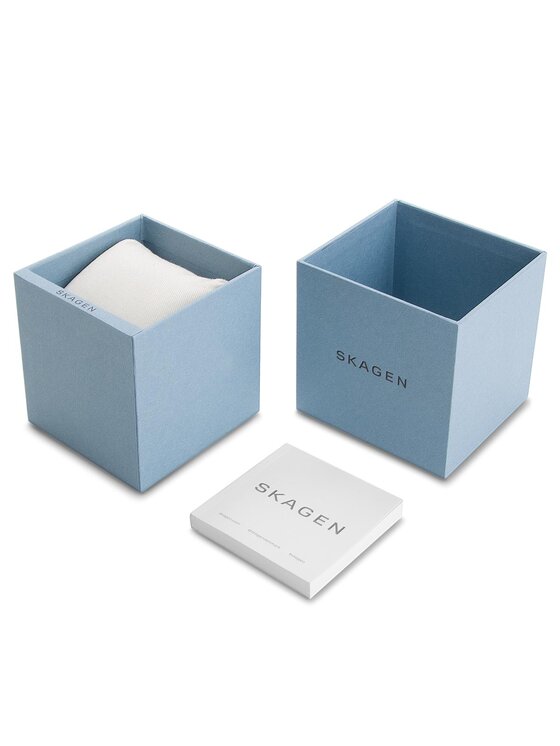 Skagen Skagen Orologio Signatur SKW2692 Argento