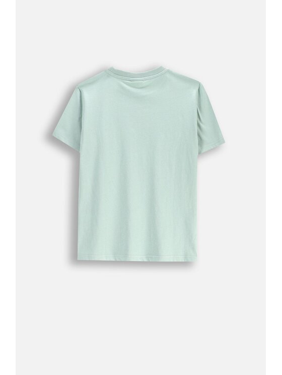 Coccodrillo Coccodrillo T-Shirt WC5143207WBJ-031 Zielony Regular Fit