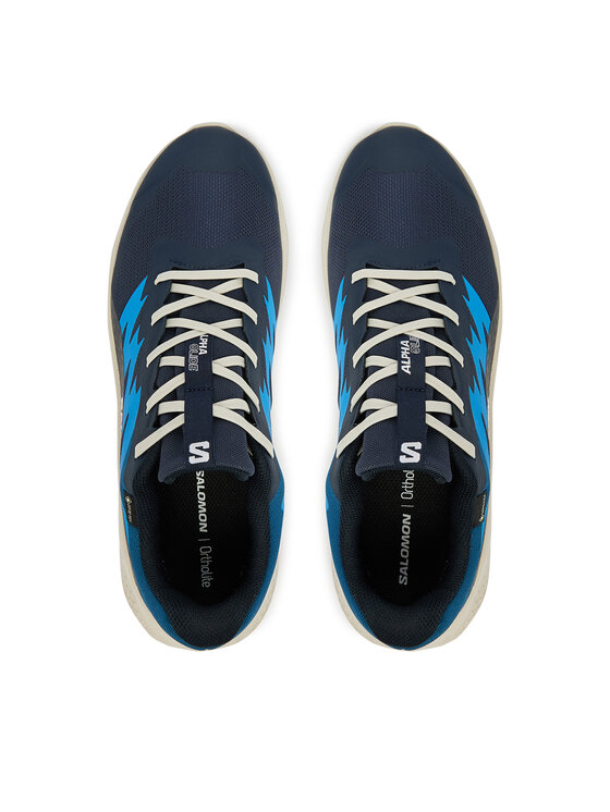 Salomon Salomon Tekaški čevlji Alphaglide Gtx L47975100 Modra