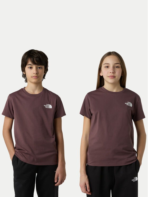 The North Face The North Face T-Shirt Simple Dome NF0A87T4 Hnědá Regular Fit
