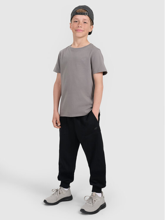 4F 4F T-Shirt BASIC+ Szary ciemny Regular Fit