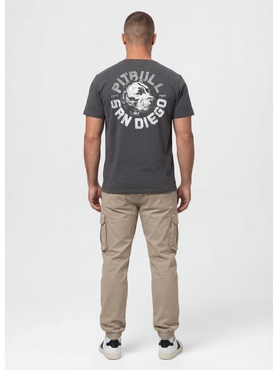 PITBULL PITBULL T-Shirt DOG SD Szary Regular Fit