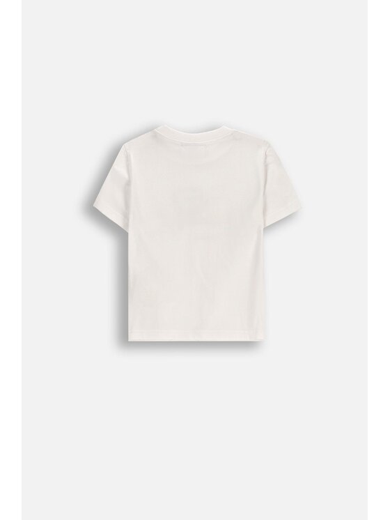 Coccodrillo Coccodrillo T-Shirt WC6143201IBN-003 Kremowy Regular Fit