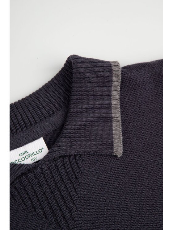 Coccodrillo Coccodrillo Sweter ZC5172101EJB-015 Granatowy Regular Fit