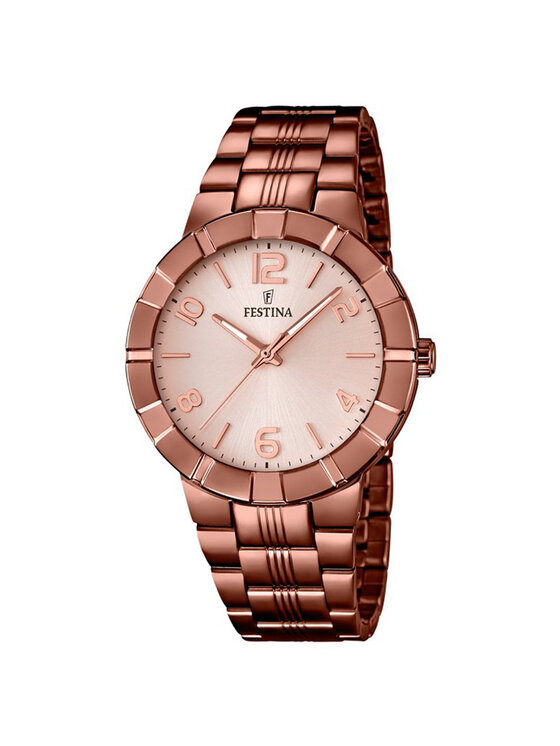 Festina Festina Hodinky F16715-1 Hnedá