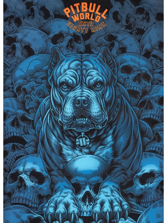 PITBULL PITBULL T-Shirt Koszulka męska GUARDIAN ANGEL XL Czarny Regular Fit