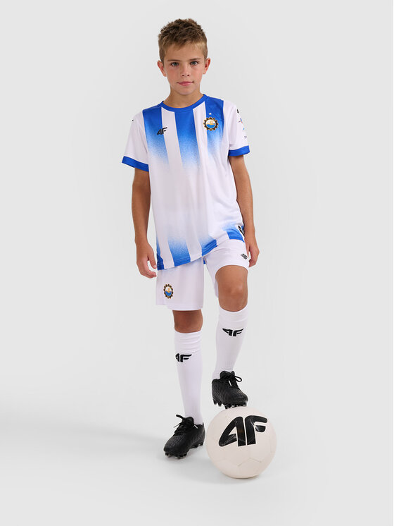 4F 4F Koszulka techniczna TEAMWEAR Kolorowy Regular Fit