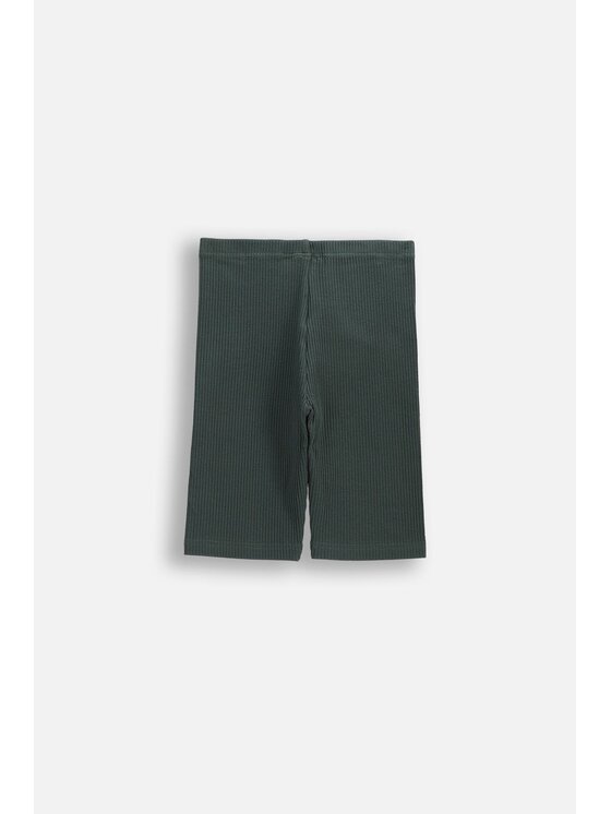 Coccodrillo Coccodrillo Legginsy WC6122501JGJ-011 Zielony