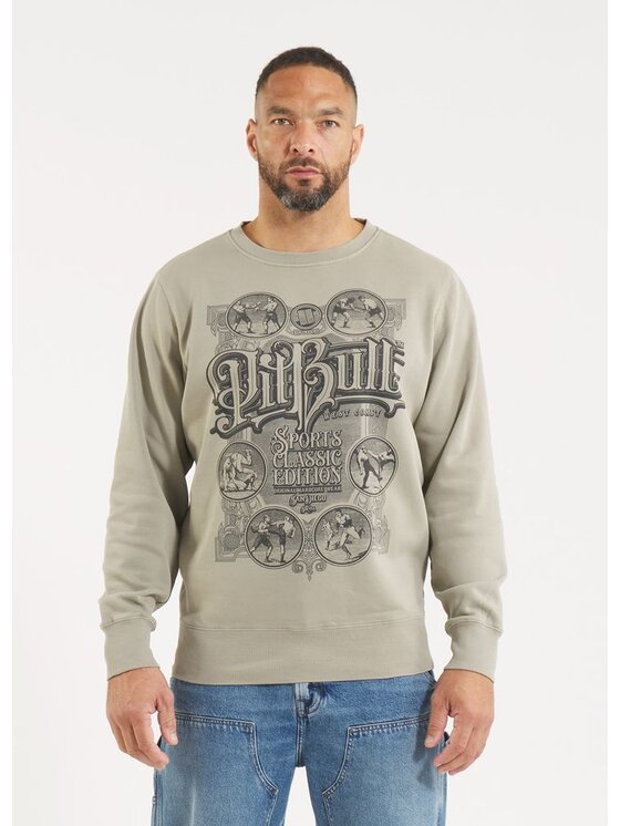 PITBULL PITBULL Bluza MULTISPORT Szary Regular Fit