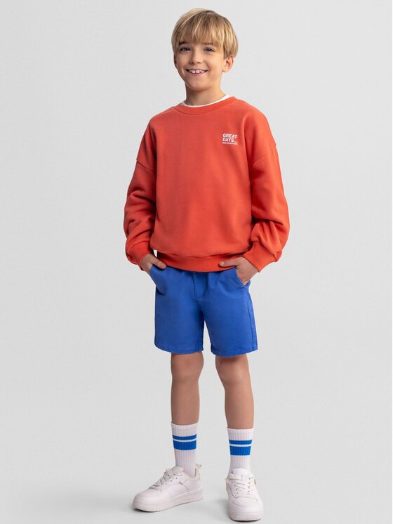 minoti minoti Bluza NOSFLEECE403 Niebieski Regular Fit