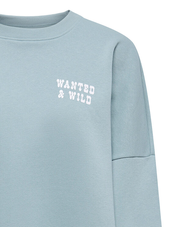 ONLY ONLY Sweatshirt Stina 15357086 Himmelblau Regular Fit