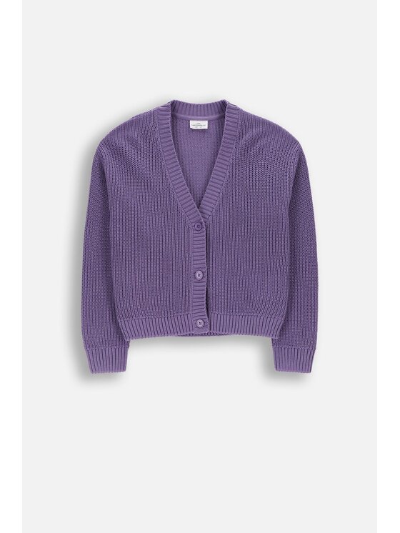 Coccodrillo Coccodrillo Sweter WC6172206CSG-016 Fioletowy Regular Fit