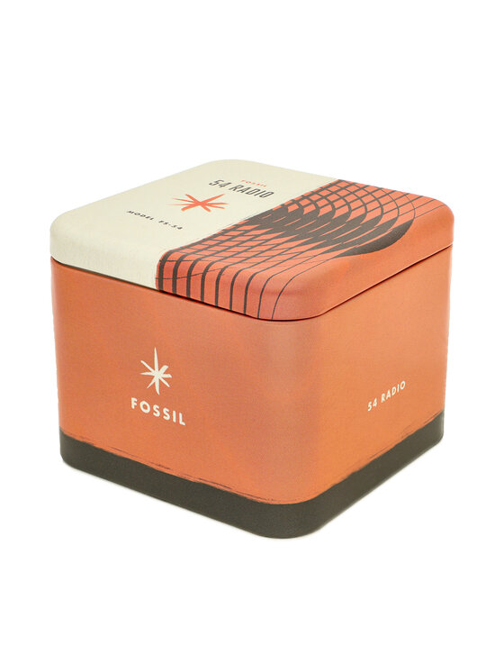 Fossil Fossil Orologio FS5976 Argento