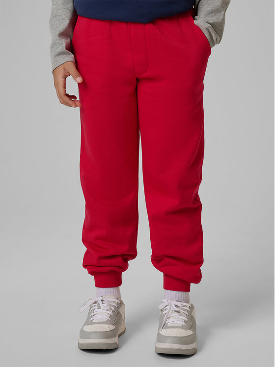4F 4F Spodnie dresowe BASIC+ Czerwony Regular Fit