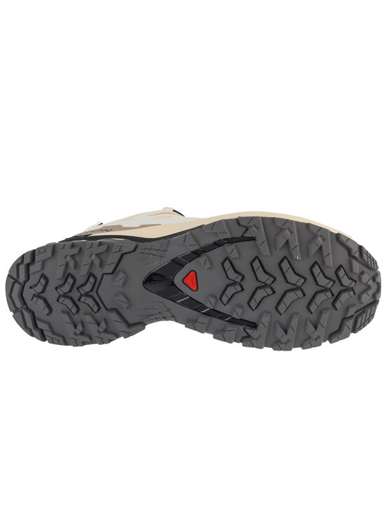Salomon Salomon Buty do biegania XA Pro 3D v9 GTX W Beżowy