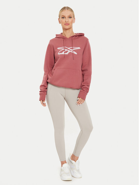 Reebok Reebok Μπλούζα Graphic OTH Hoodia 100202148 Καφέ Regular Fit