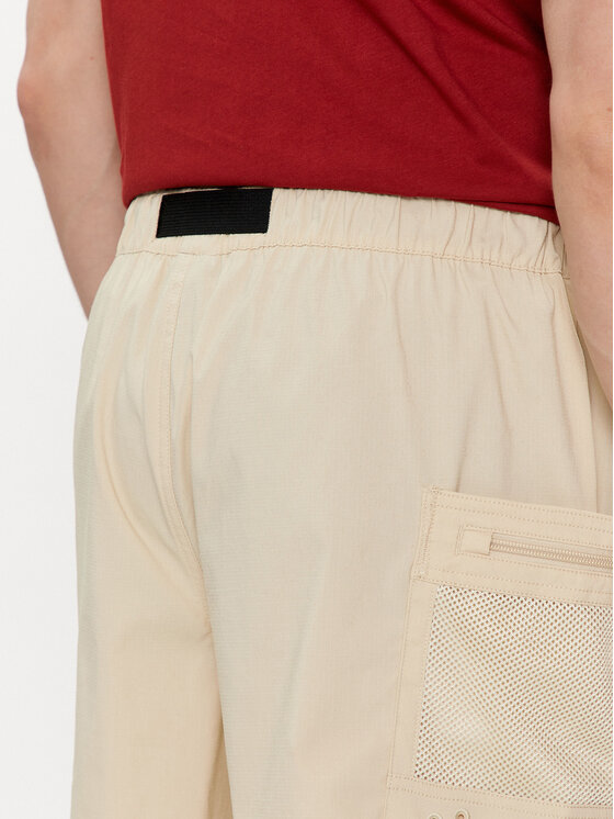 The North Face The North Face Spordišortsid Class V Pathfinder NF0A86QJ Beež Relaxed Fit