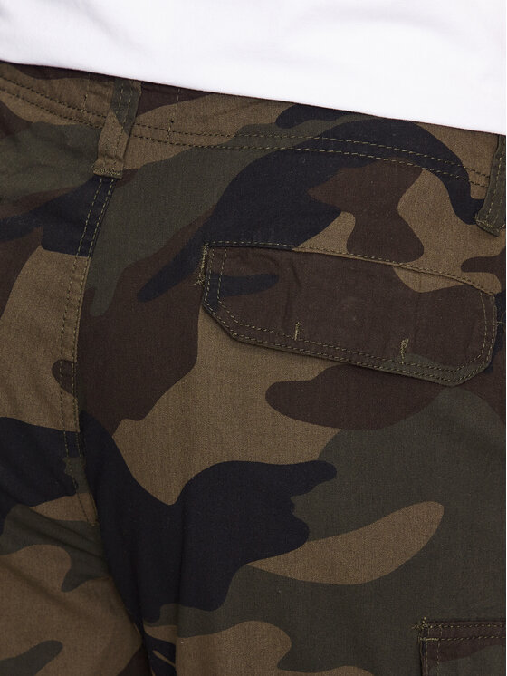Brave Soul Brave Soul Pantaloncini di tessuto MSRT-RIVER Verde Regular Fit