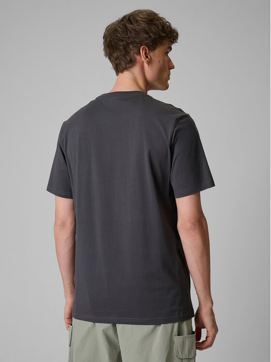 4F 4F T-Shirt TREKKING Szary ciemny Regular Fit