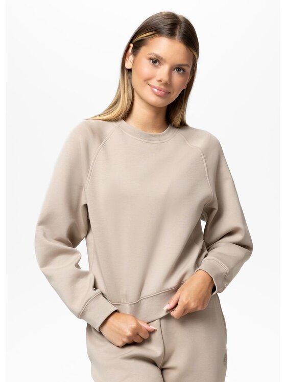 PITBULL PITBULL Bluza Discovery Brązowy Regular Fit