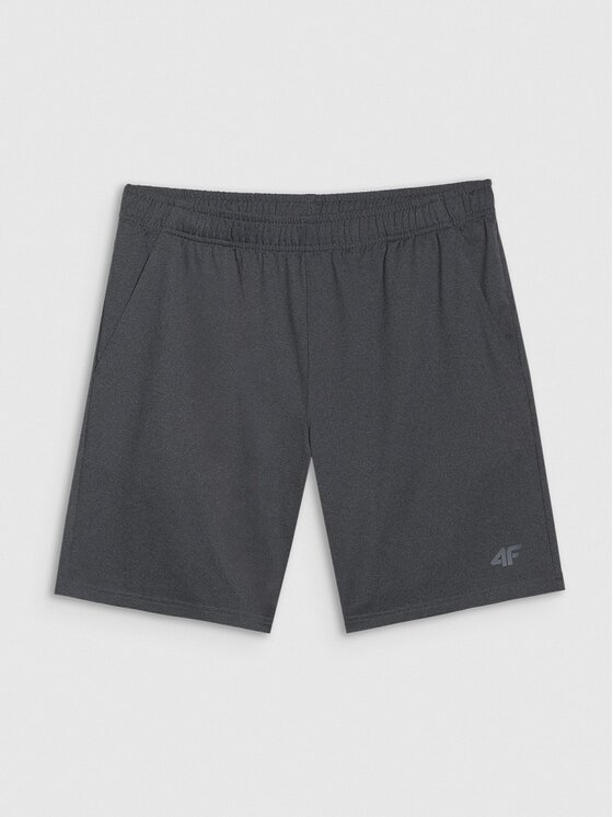 4F 4F Σορτς 4FWMM00TFSHM1310-22M Γκρι Regular Fit