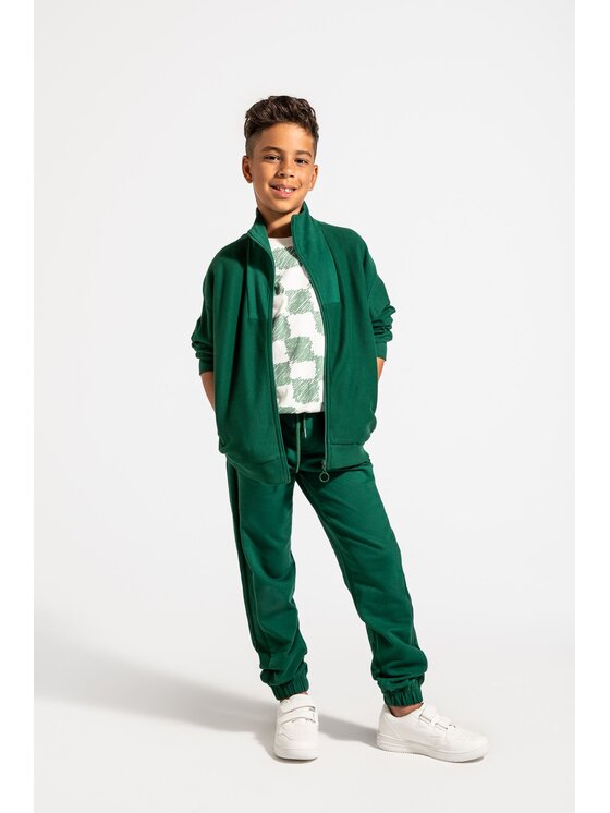 Coccodrillo Coccodrillo Spodnie dresowe ZC4120103ABJ-011 Zielony Slim Fit