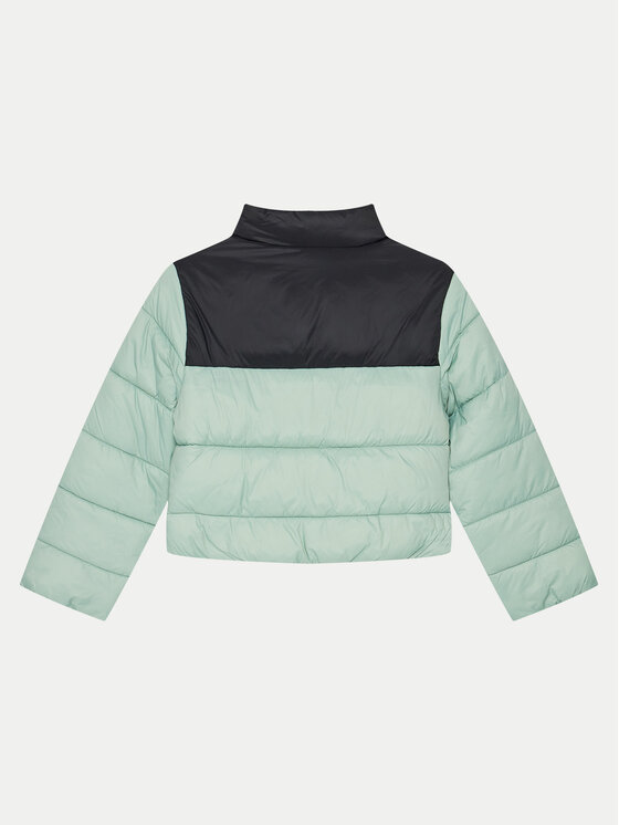 4F 4F Зимова куртка 4FJWAW24TDJAF452 Зелений Regular Fit
