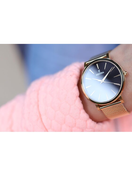 Festina Festina Hodinky F20476/2 Zlatá