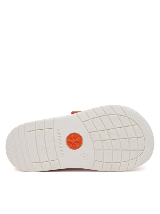 Biomecanics Biomecanics Tossud 252161 M Roosa