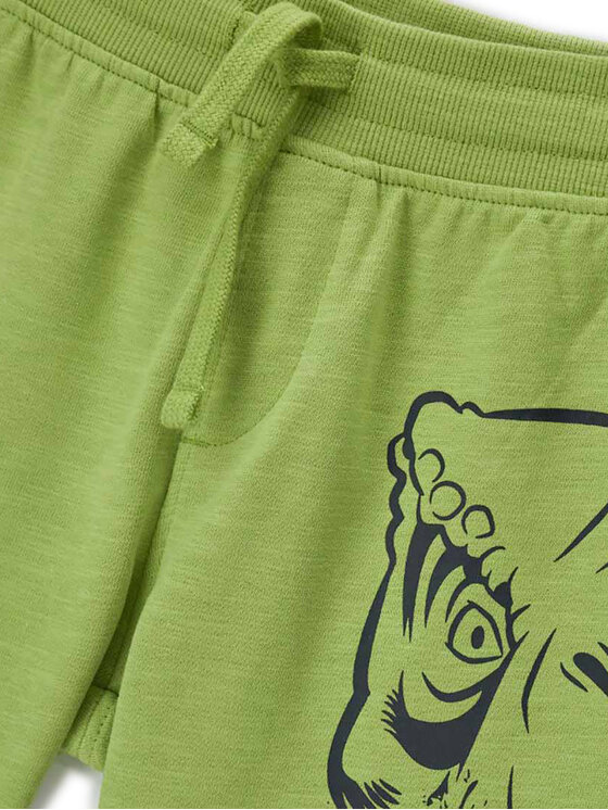 Original Marines Original Marines Pantaloni scurți sport DFPV2267CM Verde Regular Fit