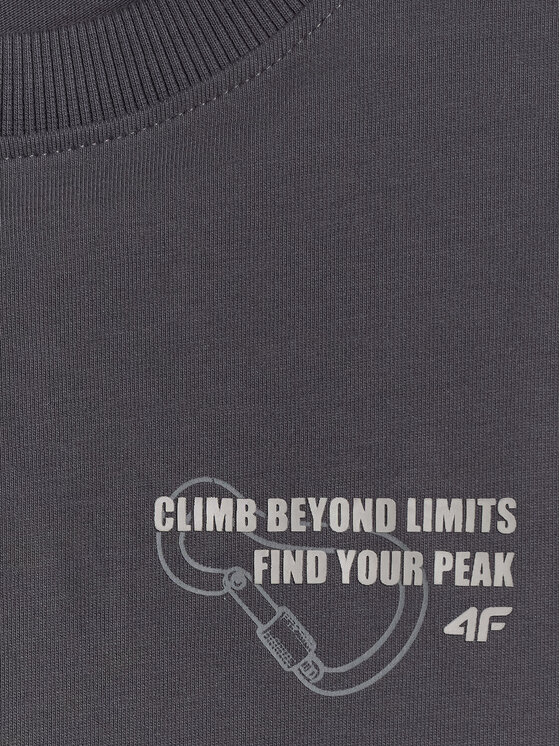 4F 4F Bluza ENJOY THE OUTDOORS Szary ciemny Loose Fit