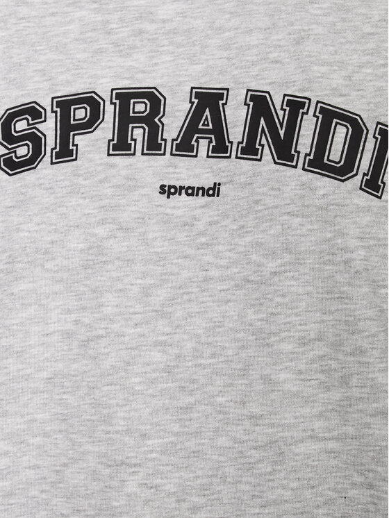 Sprandi Sprandi Džemperis ar kapuci SP3-BLM042 Pelēks Regular Fit
