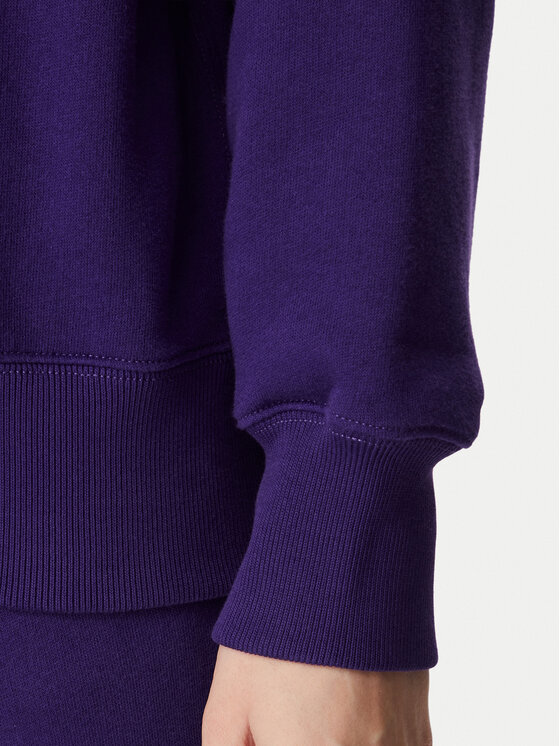 Polo Ralph Lauren Polo Ralph Lauren Majica dugih rukava 211B18685015 Ljubičasta Regular Fit