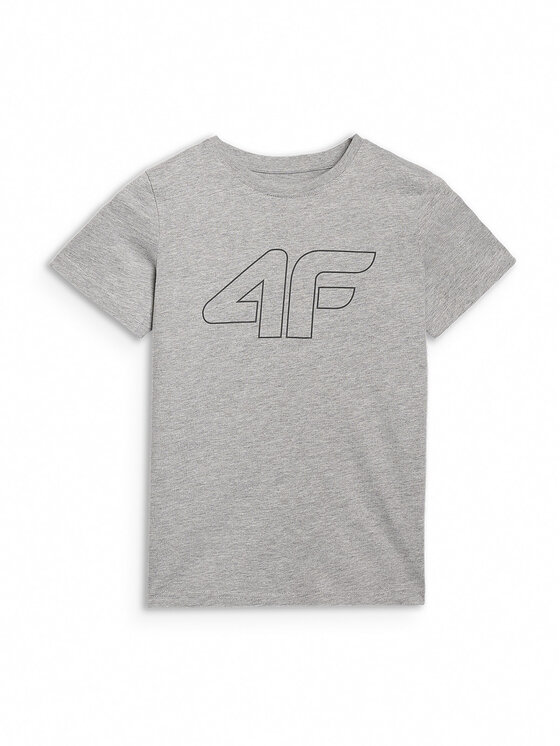4F 4F T-Shirt BASIC+ Szary Regular Fit