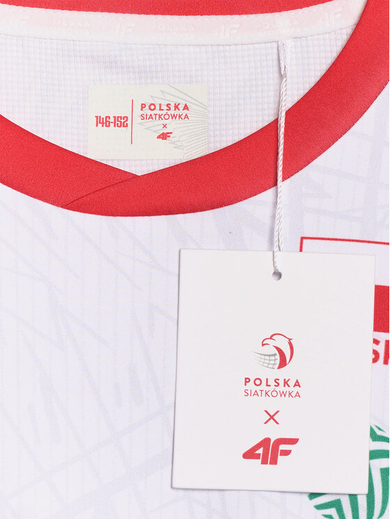 4F 4F Koszulka techniczna TEAMWEAR Kolorowy Regular Fit