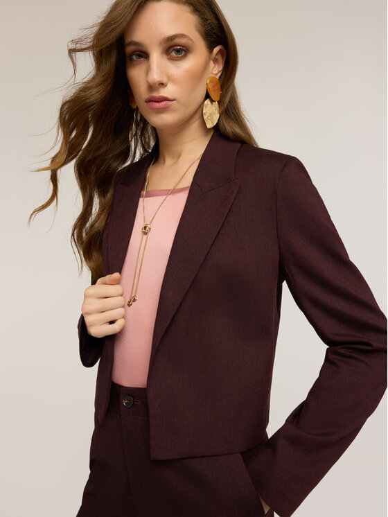 Motivi Motivi Giacca di transizione Q061Q001078N036 Bordeaux Regular Fit