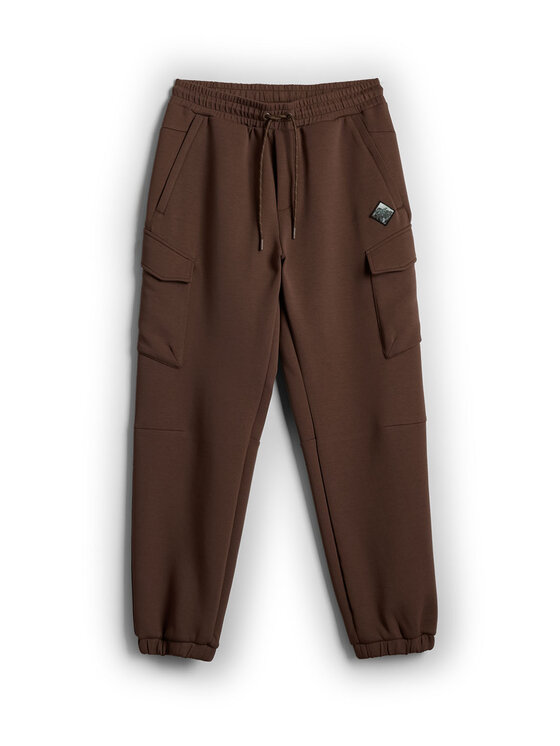 4F 4F Spodnie dresowe OVERLAND Brązowy Regular Fit