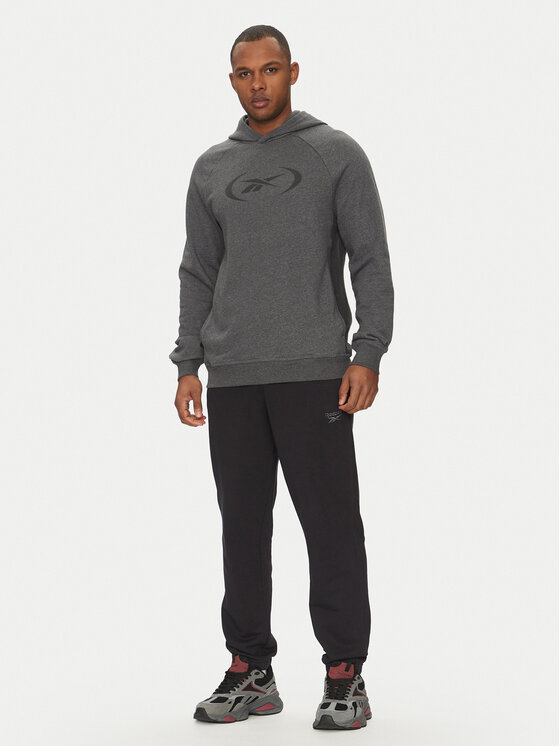 Reebok Reebok Majica dugih rukava 100214853 Siva Regular Fit