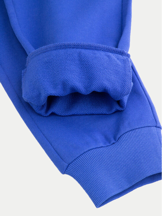 Coccodrillo Coccodrillo Спортивні штани WC5120102VBA Голубий Regular Fit