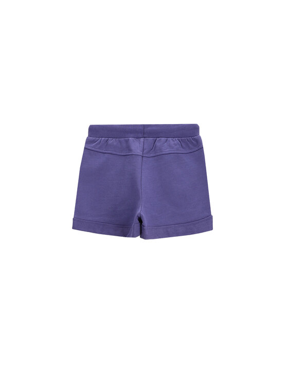 Coccodrillo Coccodrillo Sportovní kraťasy WC5120401VGC Fialová Regular Fit