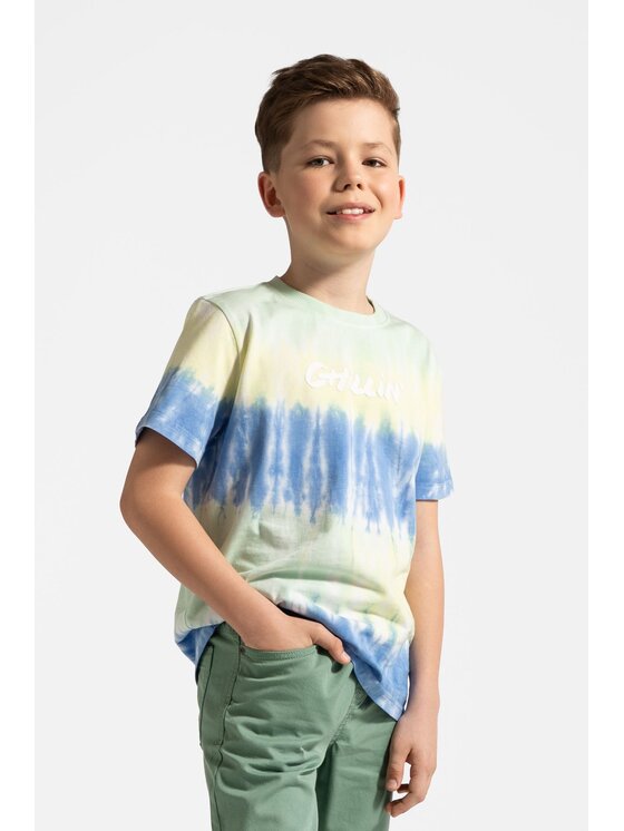 Coccodrillo Coccodrillo T-Shirt WC5143204IBJ-022 Kolorowy Regular Fit
